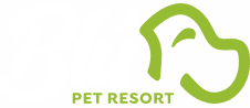 Blu Pet Resort Hospedagem de Animais